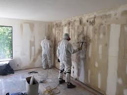 Best Asbestos and Lead Testing During Mold Inspection  in Mount Prospect, IL